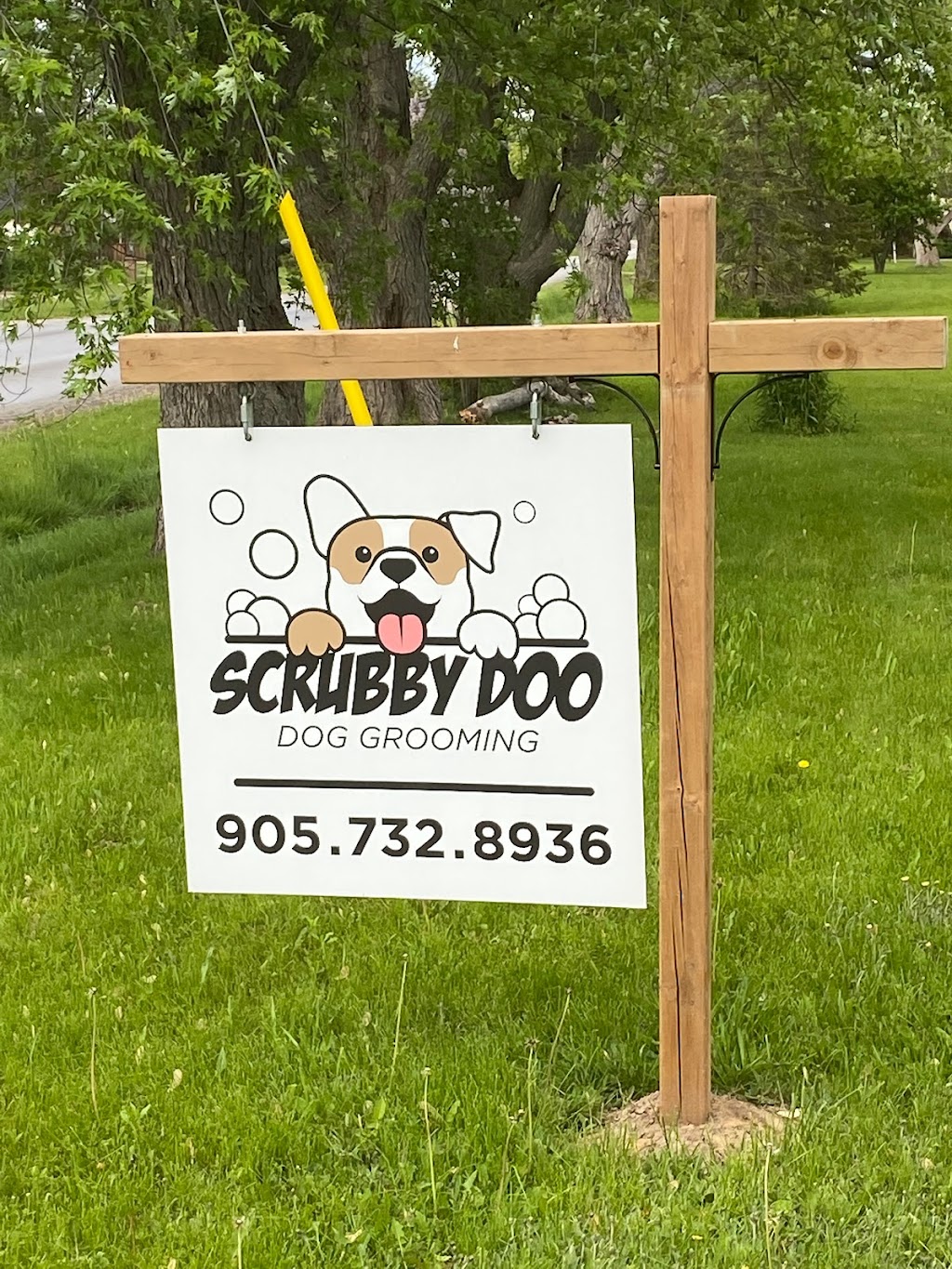 Scrubby Doo Dog Grooming | 2795 Port Robinson Rd, Welland, ON L3B 5N5, Canada | Phone: (905) 732-8936