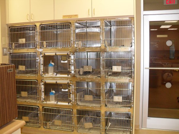 Elmwood Small Animal Hospital | 1606 Kenmore Ave, Buffalo, NY 14216, USA | Phone: (716) 876-6023