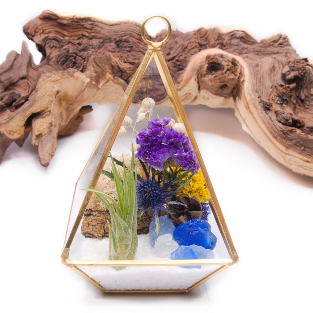 Plant Babies Terrariums | 7905 Rue Tellier, Montréal, QC H1L 6N9, Canada | Phone: (514) 561-7508