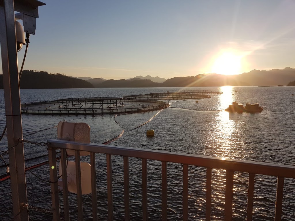 Diveco Marine | 200 Carmanah Dr, Courtenay, BC V9N 8N4, Canada | Phone: (250) 334-6598