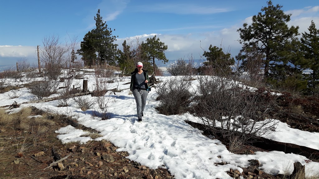 Eain Lamont Park | Lakeview Cove Rd, West Kelowna, BC V1Z 3P6, Canada