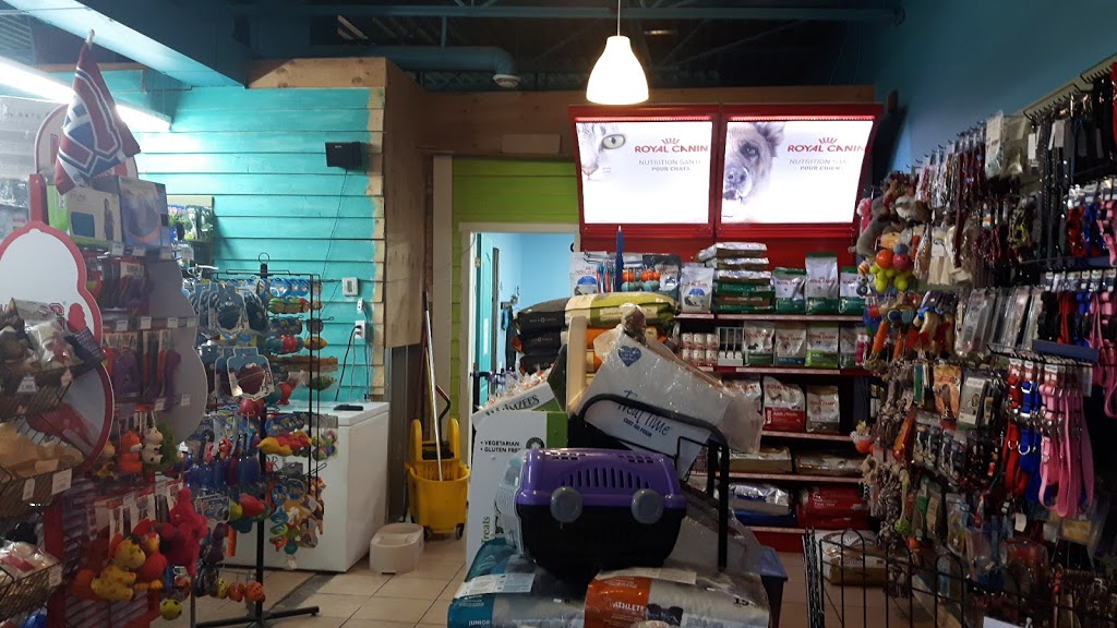 Animalissimo inc. | 5434 Boulevard Cousineau, Saint-Hubert, QC J3Y 7J8, Canada | Phone: (450) 812-9585