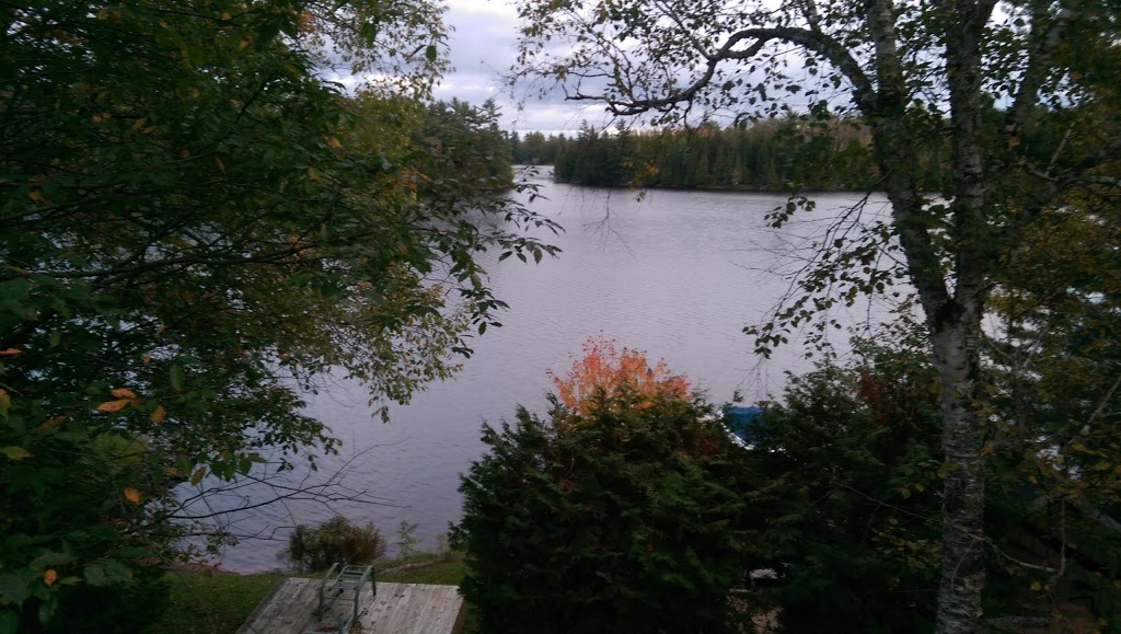 Loon Studios | McKellar Lake Rd, McKellar, ON P0G 1C0, Canada | Phone: (705) 389-2489