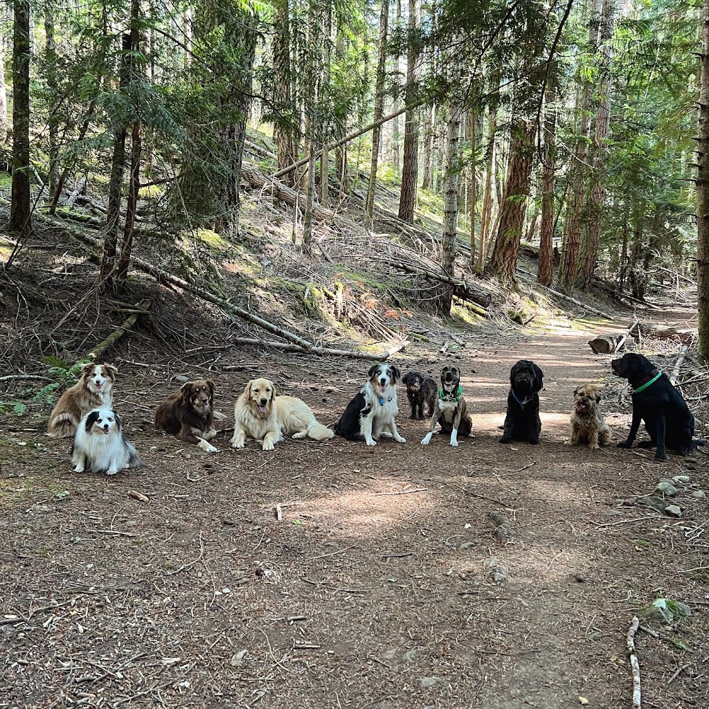 Pacific Dogwood Dogs | Adventure Dog Walker & Boarding | 2866 Leigh Rd, Langford, BC V9C 2P6, Canada | Phone: (250) 667-3704