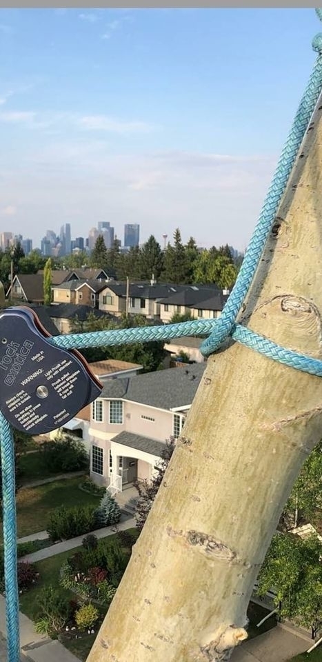 Wild Side Tree Care | 1724 Douglas Glen Grove SE, Calgary, AB T2Z 3A6, Canada | Phone: (587) 575-3474