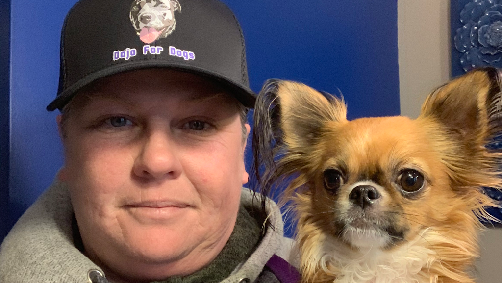 G.C.K9.A. Dojo 4 Dogs | 7 Antwerp St, St. Catharines, ON L2S 1J8, Canada | Phone: (905) 932-0752