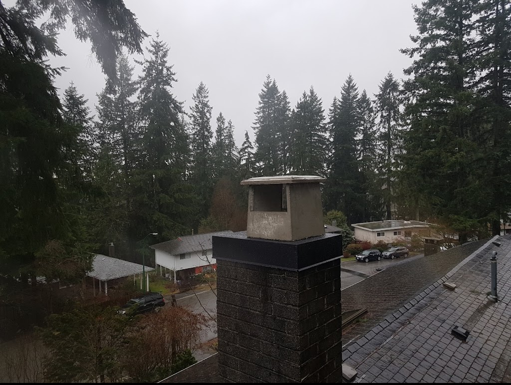 Still Smoking Chimney Service | 10233 140 St, Surrey, BC V3T 4N1, Canada | Phone: (778) 918-6857