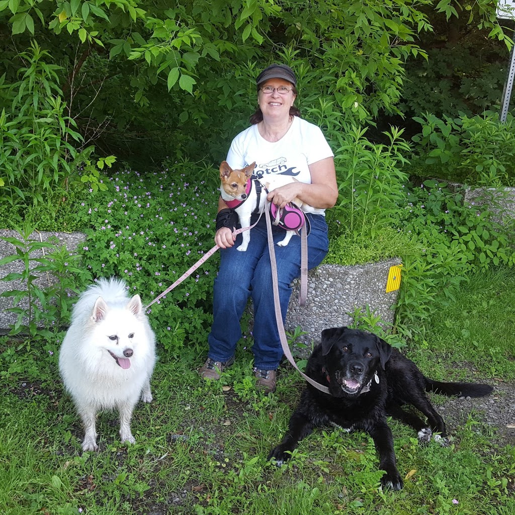 Niagara Pack Leader | 236 Leaside Dr, Welland, ON L3C 6H1, Canada | Phone: (905) 734-7038