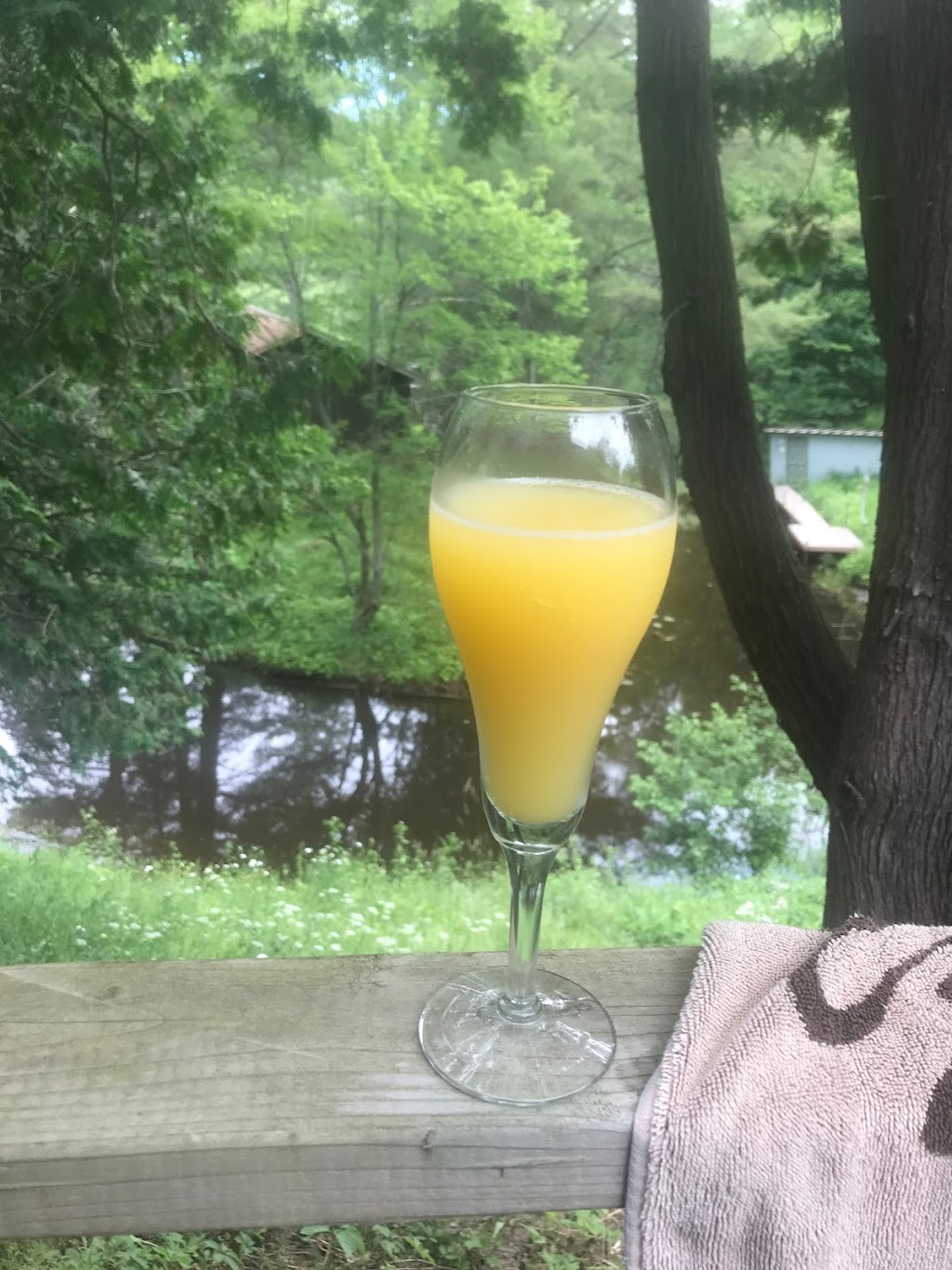 Muskoka Creekside Escape | 19 Hooey Ln, Bracebridge, ON P1L 1X2, Canada | Phone: (416) 587-2085