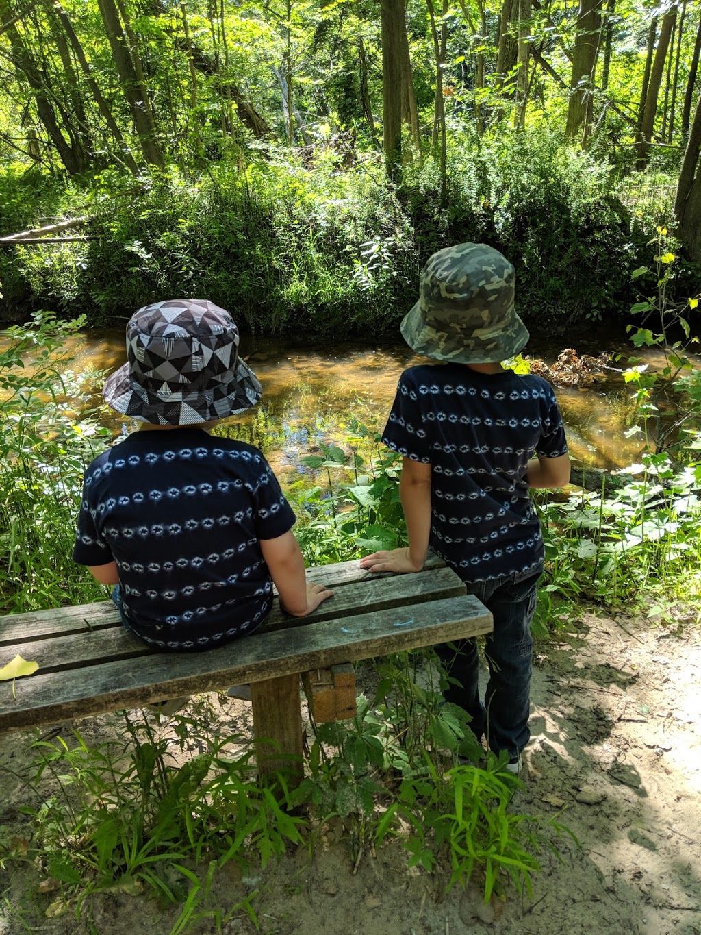 Pine River Nature Center | 2585 Castor Rd, Goodells, MI 48027, USA | Phone: (810) 364-5477