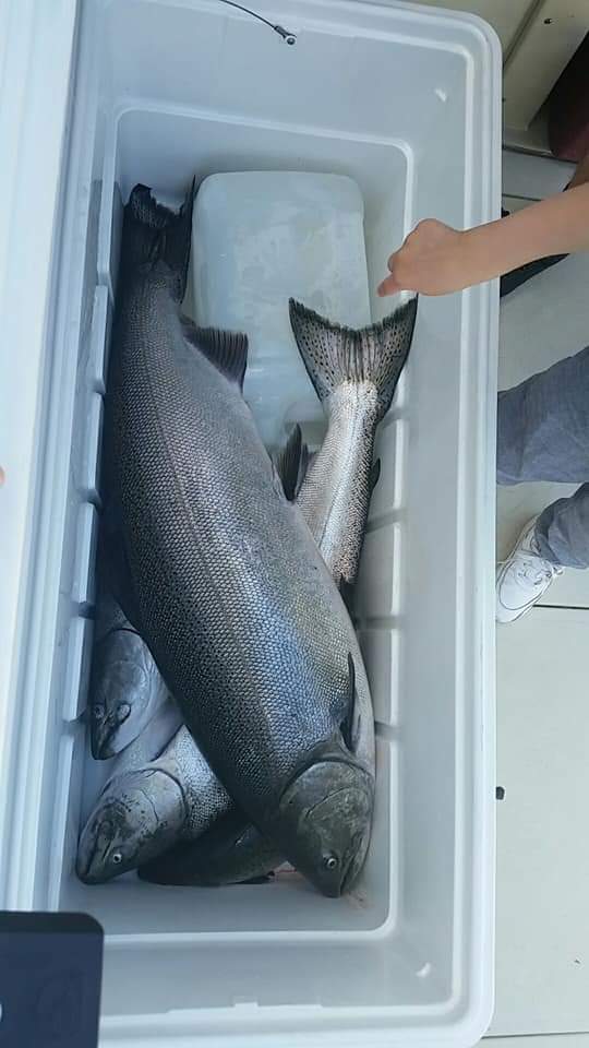 Square Tail Charters | 15 Front St S, Mississauga, ON L5H 2C4, Canada | Phone: (416) 616-4310