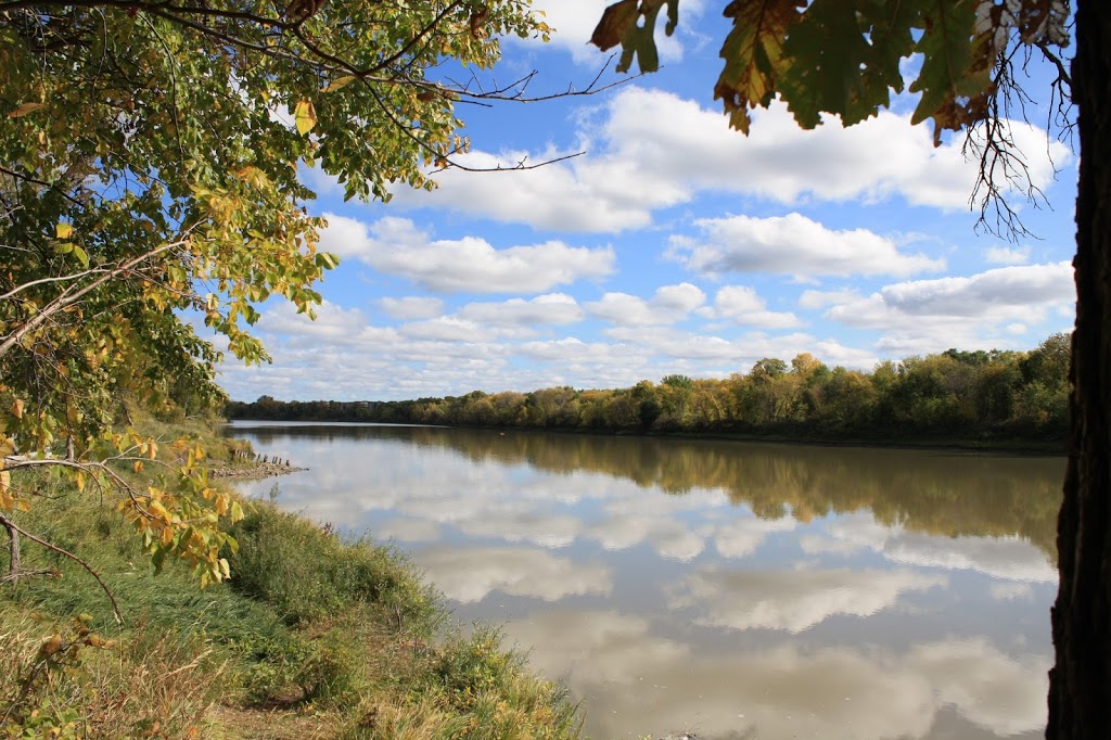 Chesters Park | 155 Freedman Crescent #131, Winnipeg, MB R3T 2N1, Canada