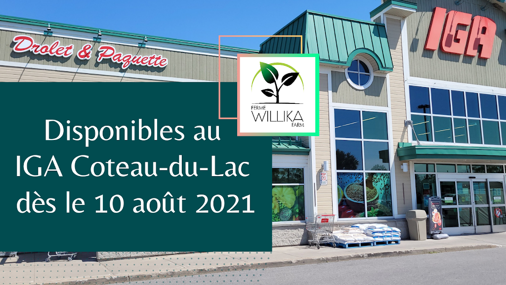 Ferme Willika inc. | 63 Chem. des Prés, Rigaud, QC J0P 1P0, Canada | Phone: (514) 880-2742