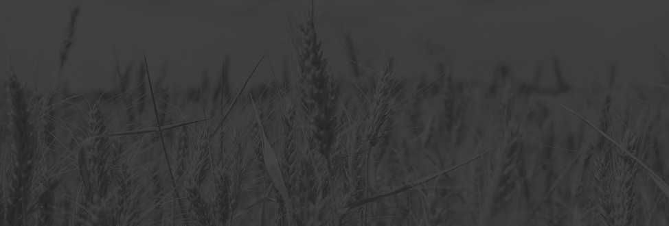 Route 24 | Box 100, Carseland, AB T0J 0M0, Canada | Phone: (403) 969-9003
