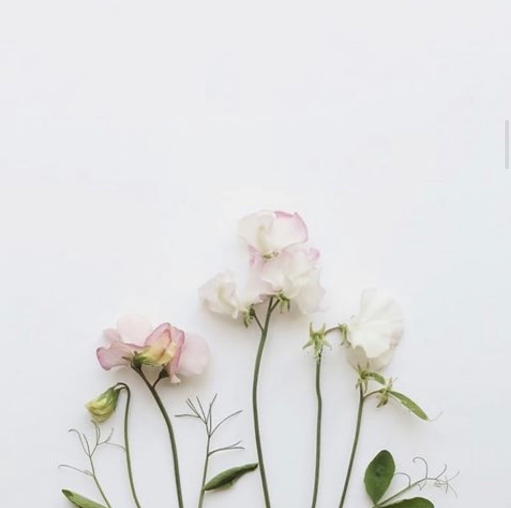 H2 OM Holistic Living Studio | 58 Marine Parade Dr #115, Etobicoke, ON M8V 4G1, Canada | Phone: (416) 792-4266