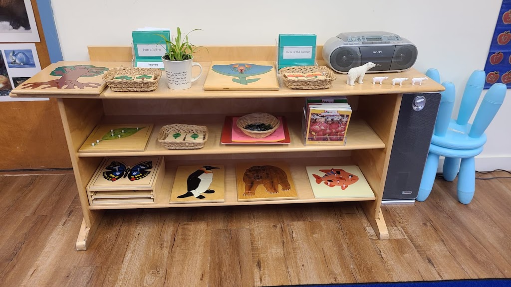 Burnaby Montessori School | 3905 Norland Ave, Burnaby, BC V5G 4T8, Canada | Phone: (604) 298-1661