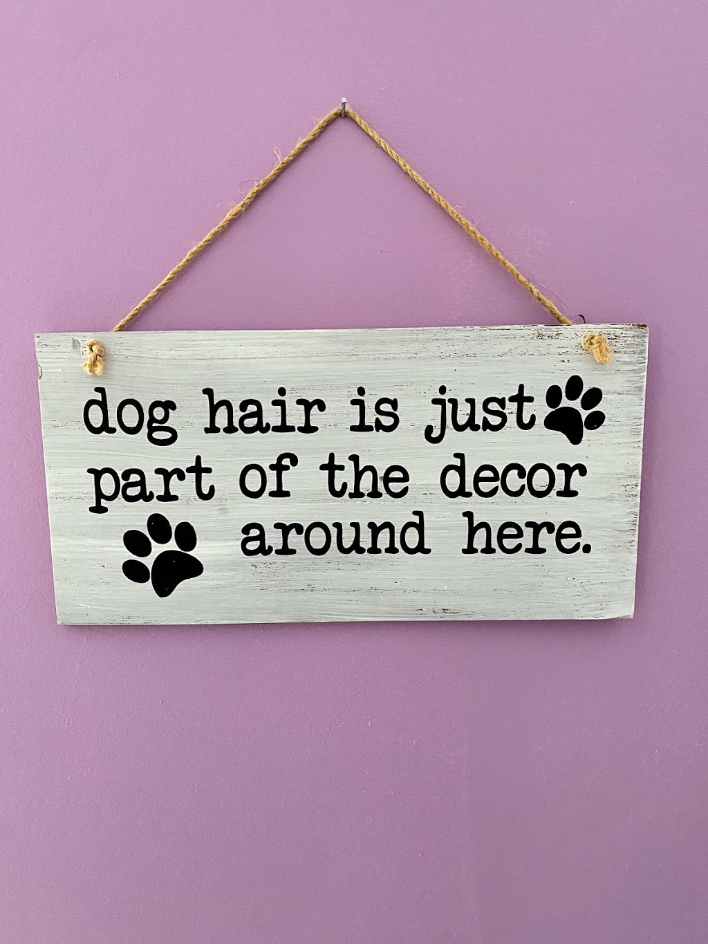 Paw Prints Dog Grooming | 24 Pine Park Blvd, Everett, ON L0M 1J0, Canada | Phone: (705) 890-3300