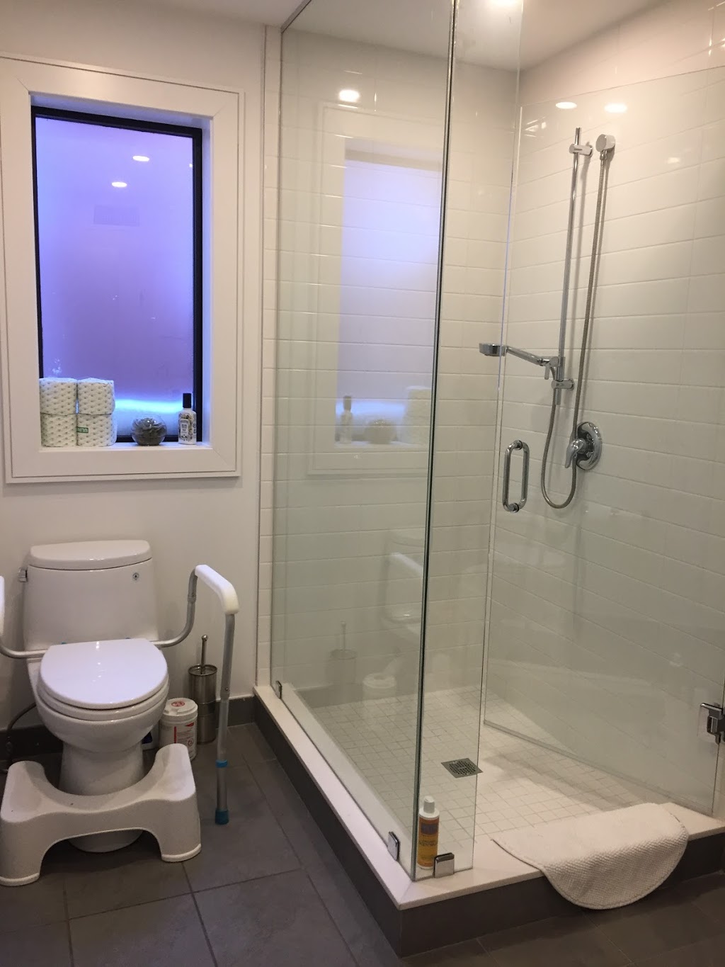 Diana Loze, Colon Hydrotherapist | pureBalance Wellness - Cancer Care, 219 Lakeshore Road East, Mississauga, ON L5G 1G5, Canada | Phone: (905) 891-3865