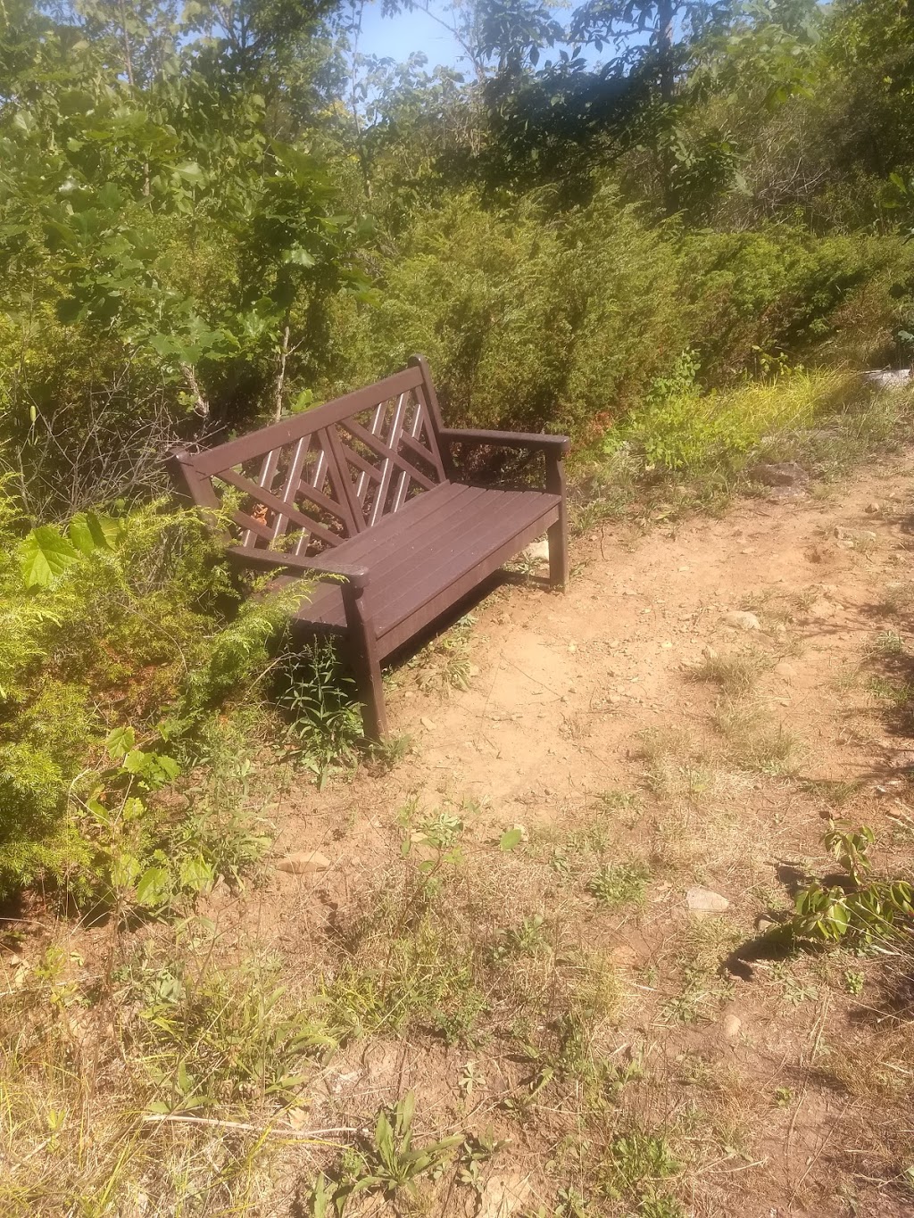 Chaumont Barrens Nature Preserve | 29924 Van Alstyne Rd, Chaumont, NY 13622, USA | Phone: (315) 387-3600
