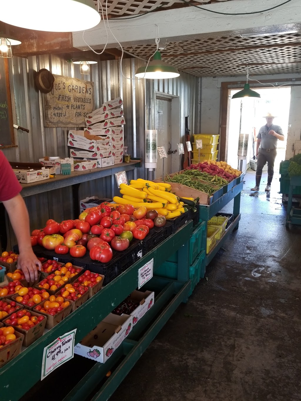 Joes Gardens | 3110 Taylor Ave, Bellingham, WA 98225, USA | Phone: (360) 671-7639