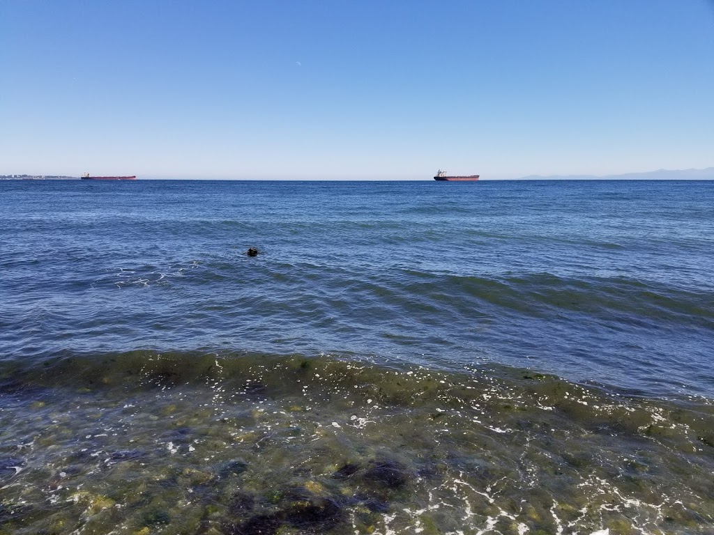 Parking lot Lagoon beach | 3384 Ocean Blvd, Victoria, BC V9C 1W7, Canada