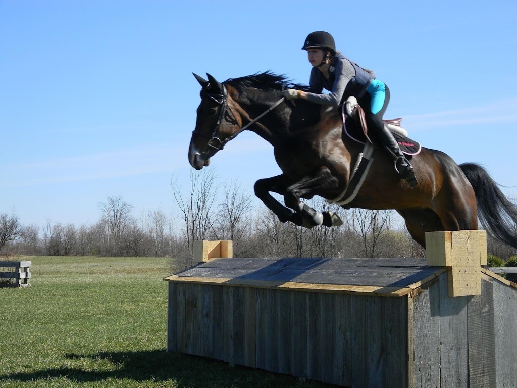 Stable SunnyBreeze Stable | 4552 Chemin Bellerive, Carignan, QC J3L 3P9, Canada | Phone: (514) 641-4627