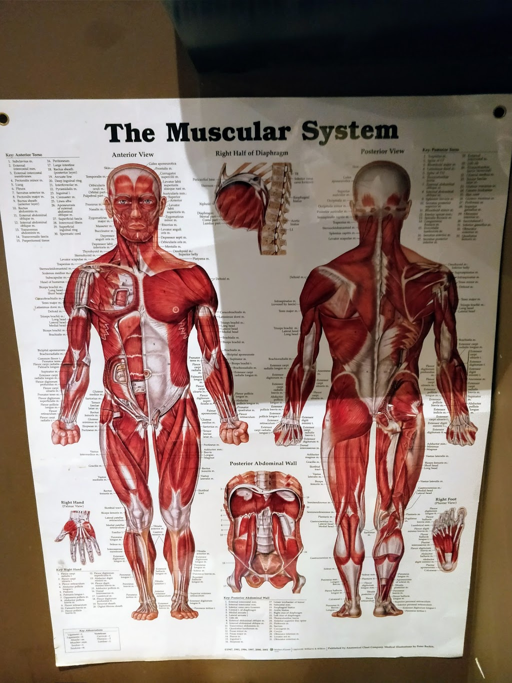 Serenity Health & Wellness Chiropractic Massage and Acupuncture  | 6019 199 St NW, Edmonton, AB T6M 0M8, Canada | Phone: (780) 486-0710