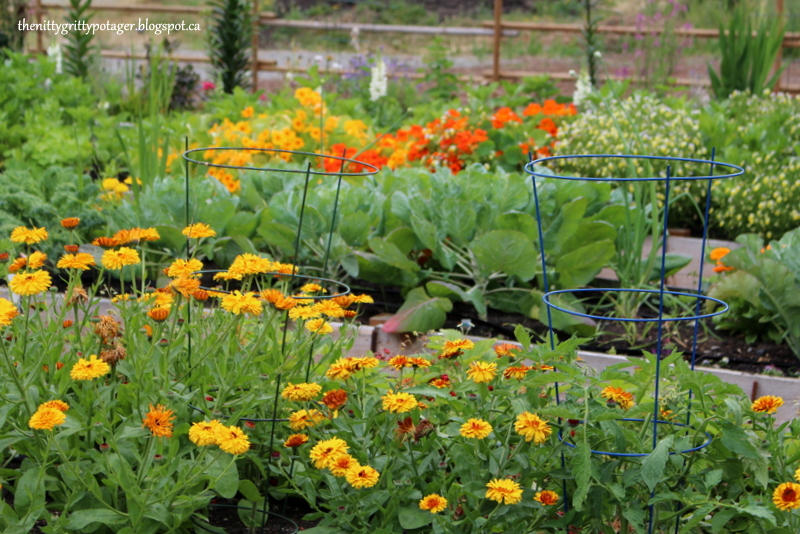 Olde Thyme Food Garden | 2330 Morland Rd, Nanaimo, BC V9X 1J1, Canada