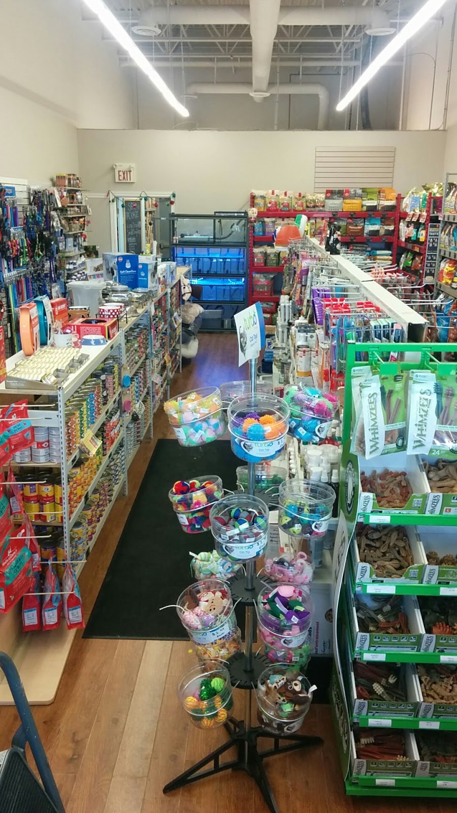 The Pet Shoppe | 4772 Bank St, Gloucester, ON K1T 0K8, Canada | Phone: (613) 822-8282