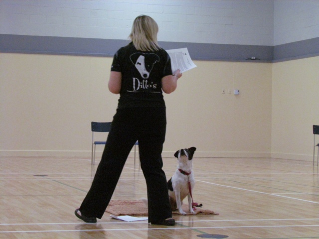 Dittos Canine Learning Centre | 45 School St, Mahone Bay, NS B0J 2E0, Canada | Phone: (902) 624-0800