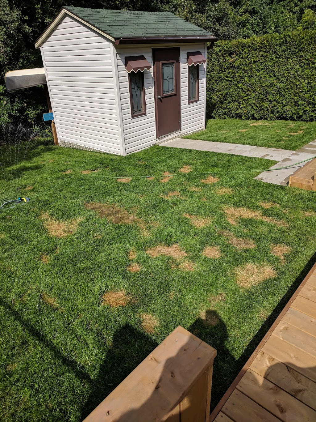 Petersens Turf Farms | 2381 Manotick Station Rd, Osgoode, ON K0A 2W0, Canada | Phone: (613) 821-2863