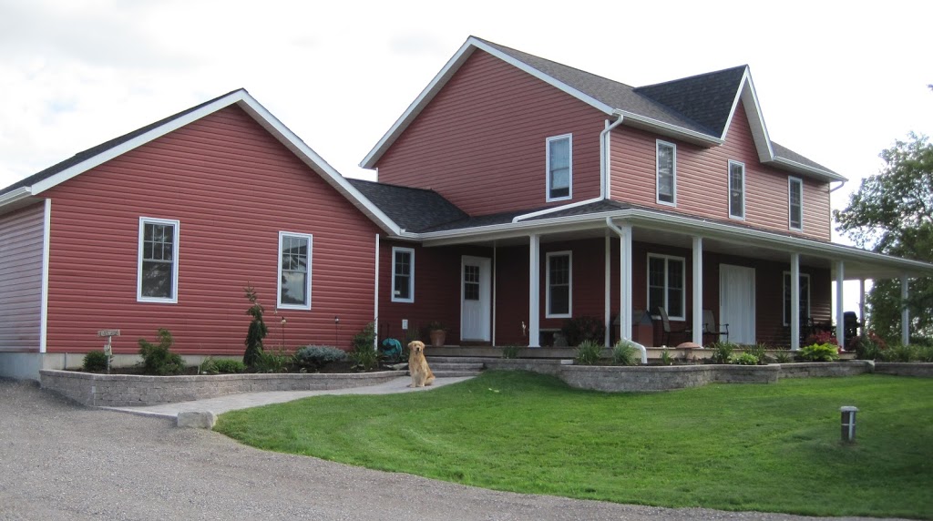 For The Love Of Dogs In Home Boarding | 239 Fallis Line, Millbrook, ON L0A 1G0, Canada | Phone: (705) 740-5535