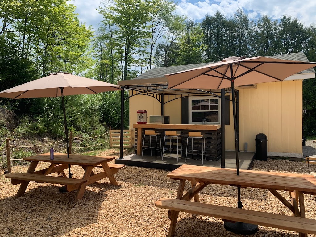 Pub Radis Fumé | 728-A Chemin de Ste Anne des Lacs, Sainte-Anne-des-Lacs, QC J0R 1B0, Canada | Phone: (450) 327-5600