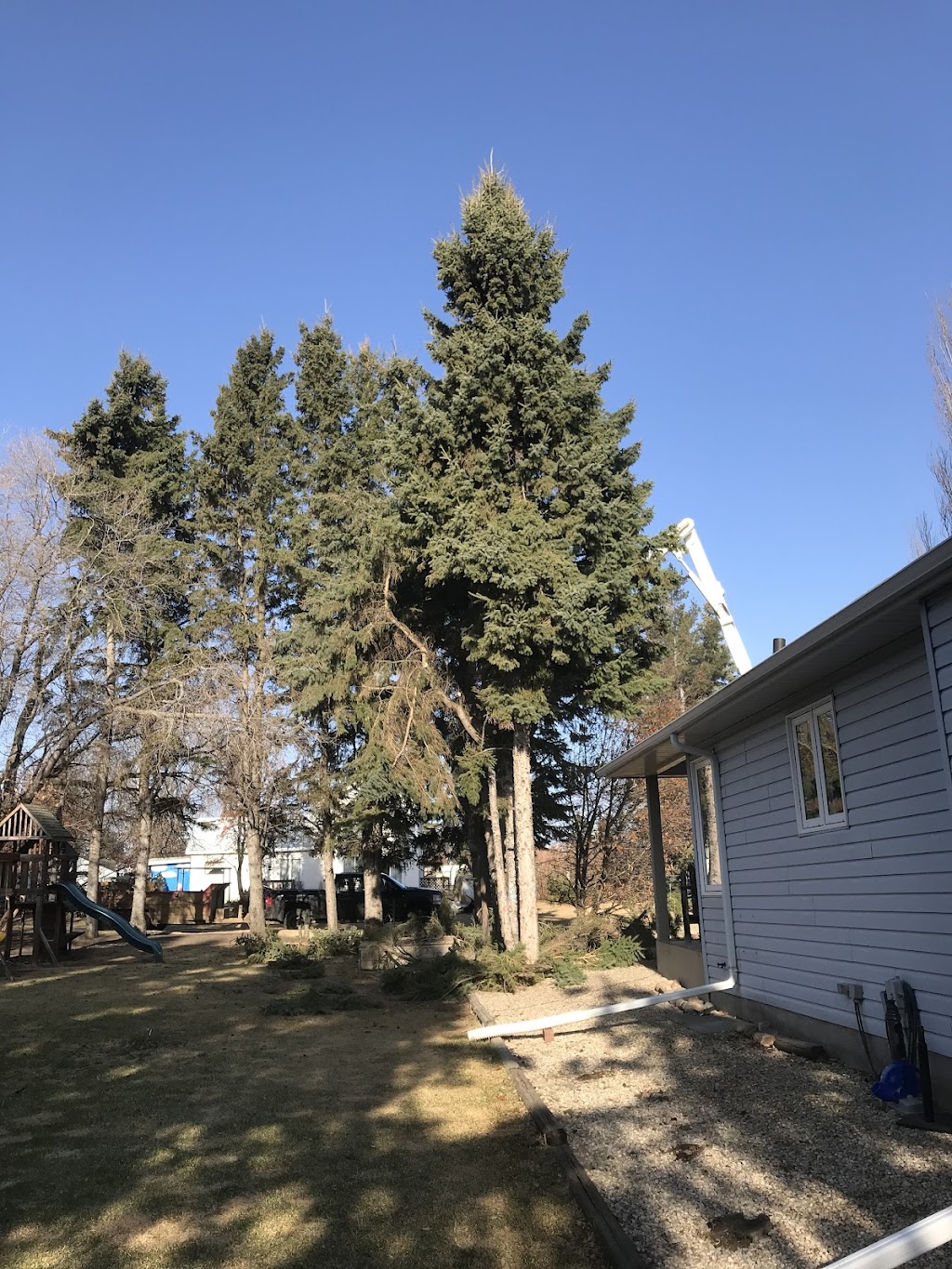 Fisher Hill Tree Company | 48075, Range Rd 194, Camrose, AB T4V 2N1, Canada | Phone: (780) 678-4909