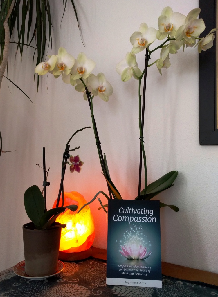 Samish Center for Mindful Compassion | Meditation | Qigong | Mas | 10641 Samish Island Rd, Bow, WA 98232, USA