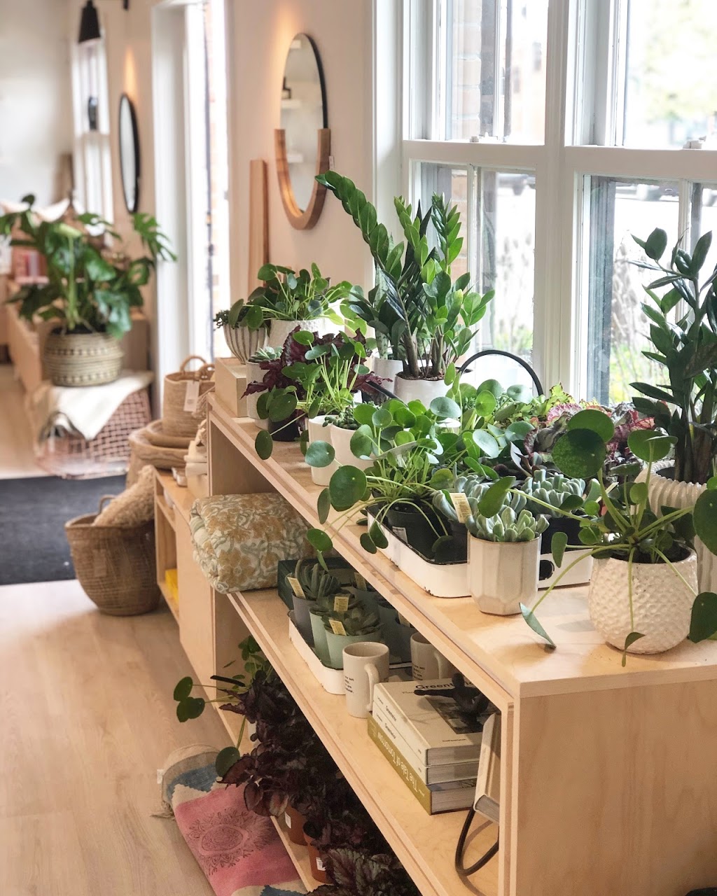 The Hive | 60 Pine St, Collingwood, ON L9Y 2N7, Canada | Phone: (705) 230-0488