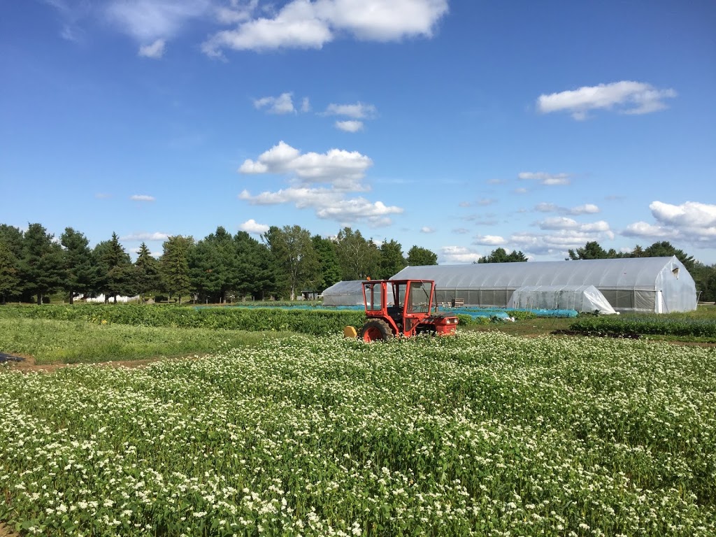 La Charrette | 421 Rang 1er N, Charette, QC G0X 1E0, Canada | Phone: (514) 949-6996