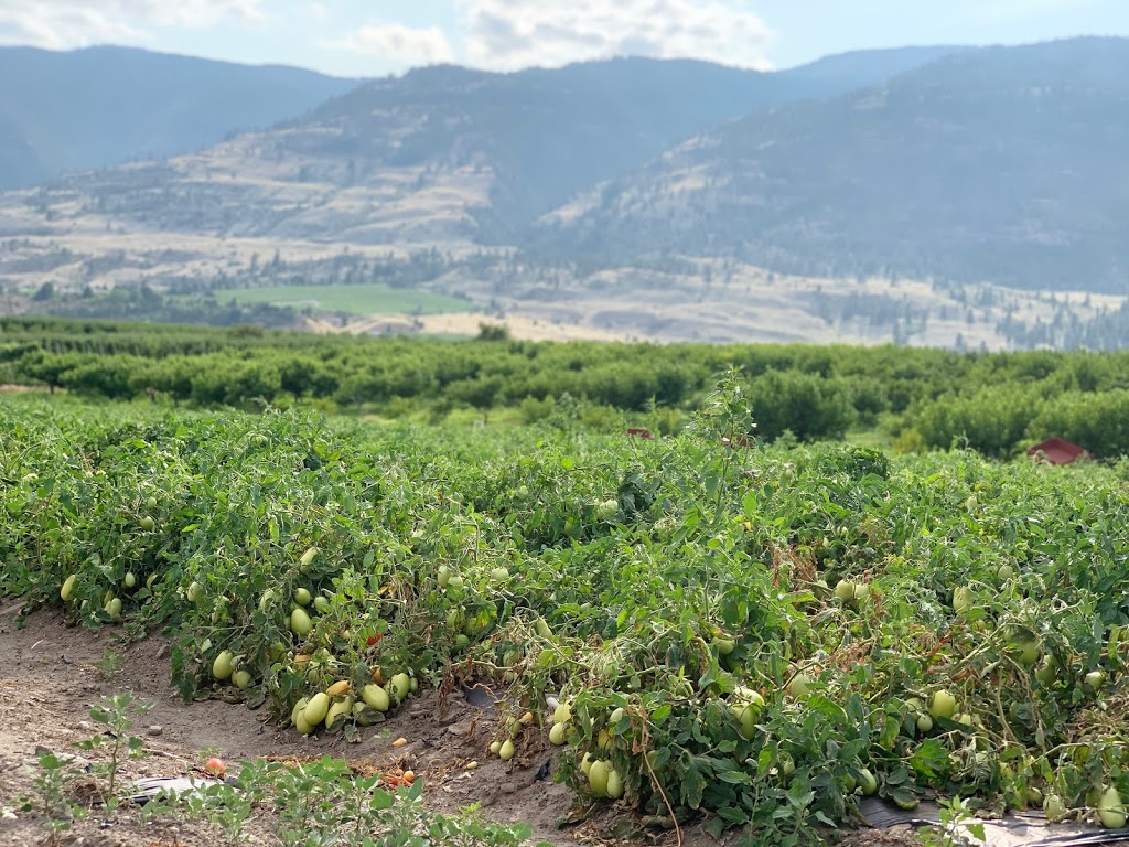 Valley Best Produce Fruit Market | 5458 BC-97, Cawston, BC V0X 1C0, Canada | Phone: (250) 809-7134
