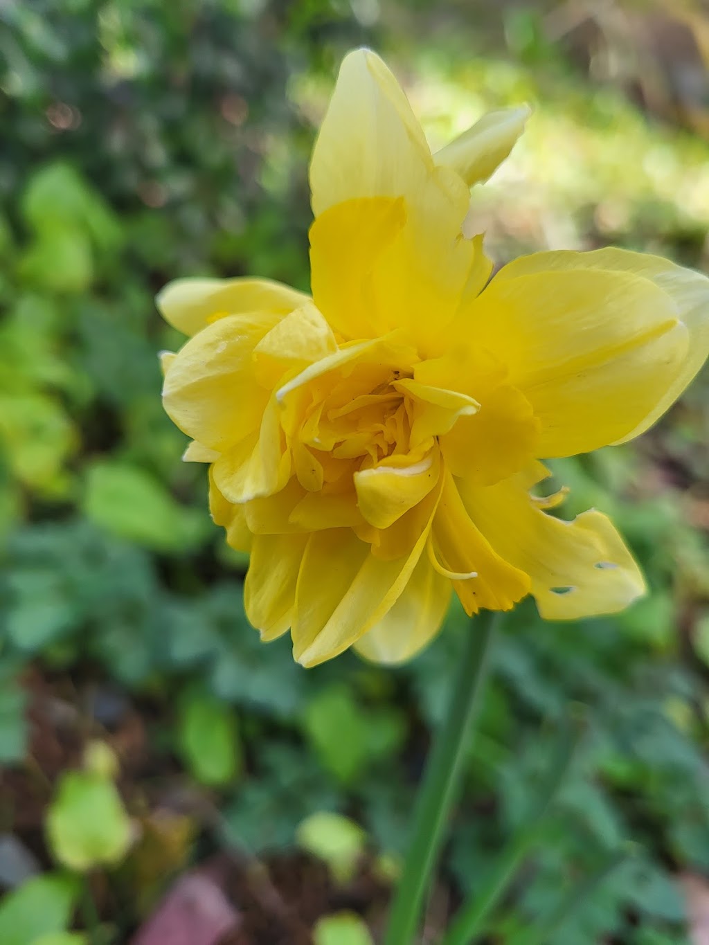 The MicroFarm on Green Lake | 6634 Valleyview Dr, Nanaimo, BC V9T 5R7, Canada | Phone: (250) 618-8751