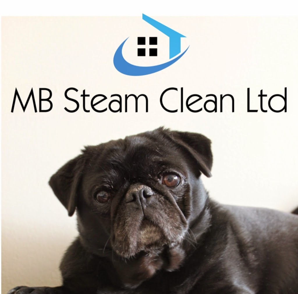MB Steam Clean Ltd | 640 Malvern Dr NE, Calgary, AB T2A 5P5, Canada | Phone: (403) 630-0111