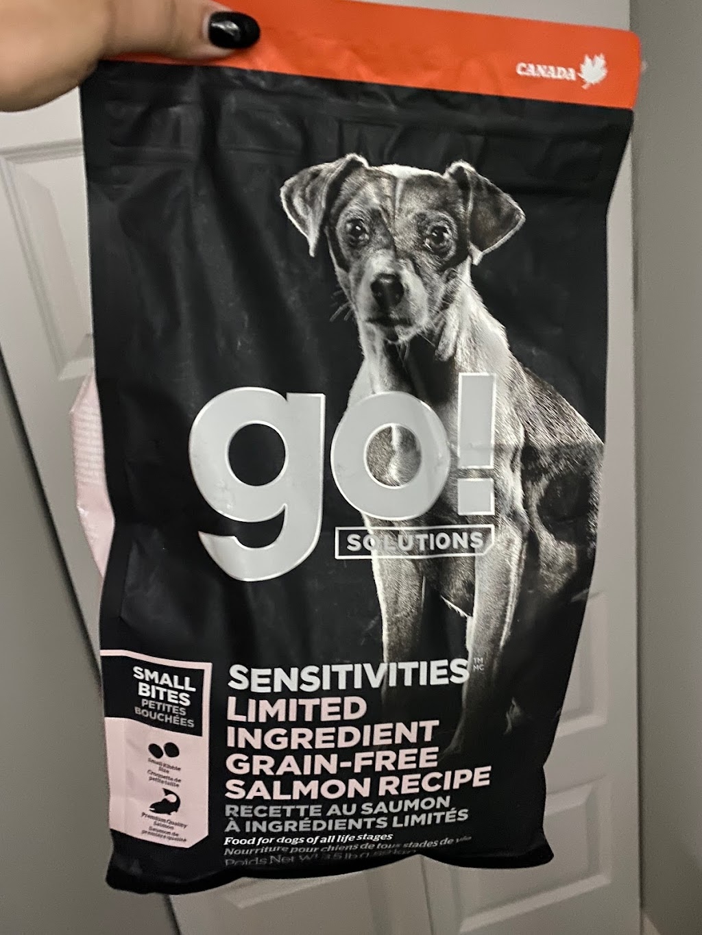 Pitou Minou & Compagnons GLOBAL- Blainville | 1356 Bd du Curé-Labelle #258, Blainville, QC J7C 2P2, Canada | Phone: (450) 818-4587