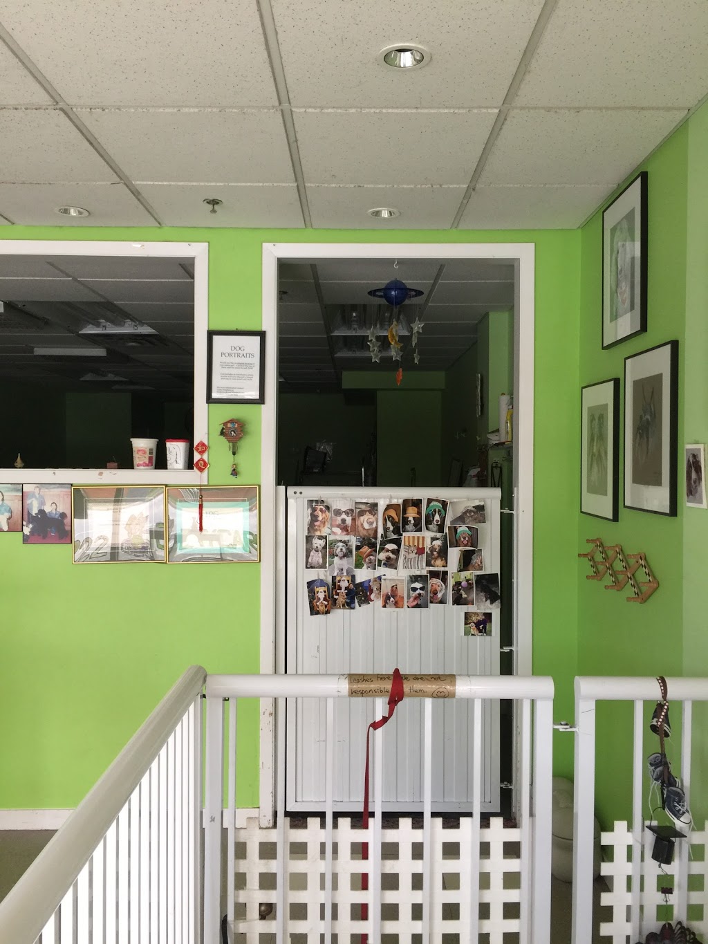 Artistic Styling For Pets | 4188 Dunbar St, Vancouver, BC V6S 2E7, Canada | Phone: (604) 739-6822