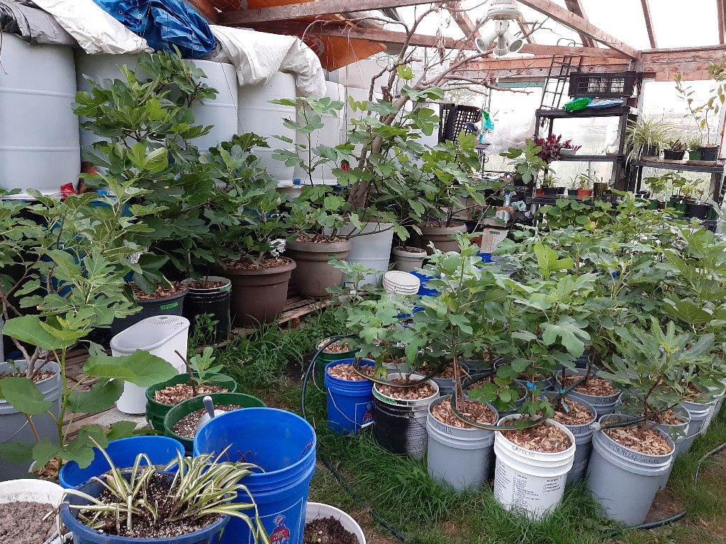 Twenty Road Market | 6465 Twenty Rd E, Hannon, ON L0R 1P0, Canada | Phone: (905) 546-7093