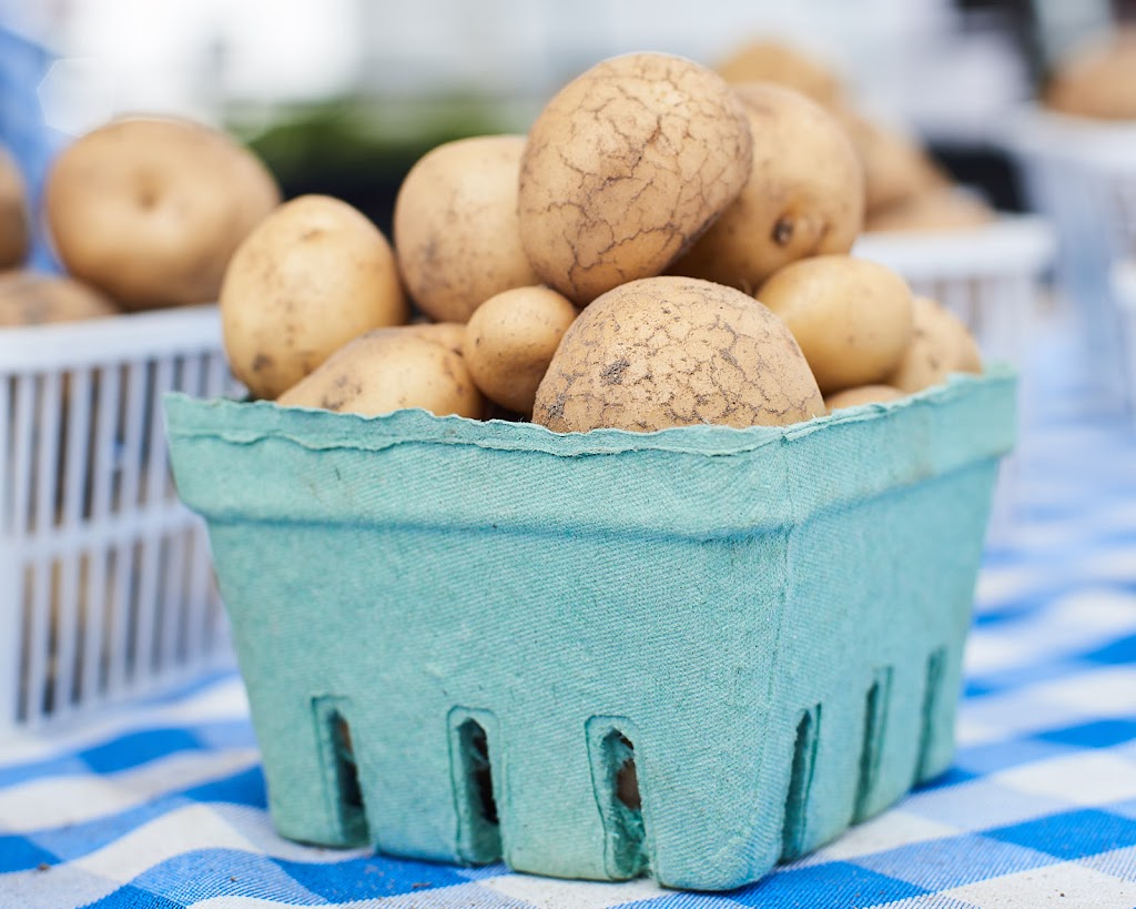 Needhams Market Garden | 1335 Ottawa Rd 29, Arnprior, ON K7S 3G7, Canada | Phone: (613) 983-6082