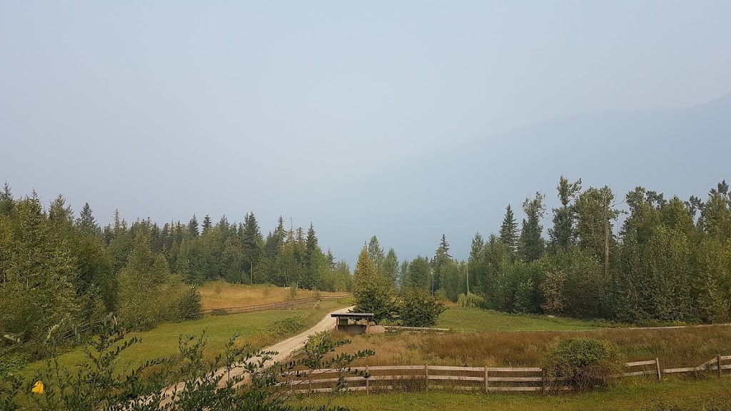 Dometraschuk Guesthouse and Cabins | 6028 Eagle Bay Rd, Eagle Bay, BC V0E 1T0, Canada | Phone: (780) 505-1349