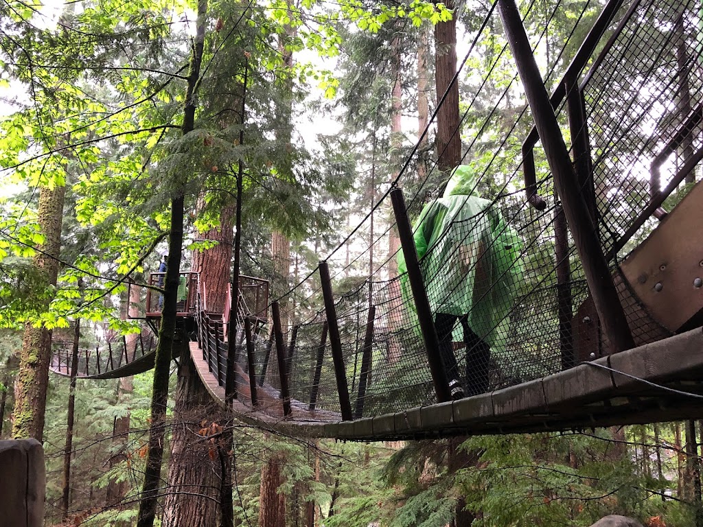 Capilano Suspension Bridge Park – Raptors Ridge | Unnamed Road, West Vancouver, BC V7S 1J5, Canada | Phone: (604) 985-7474