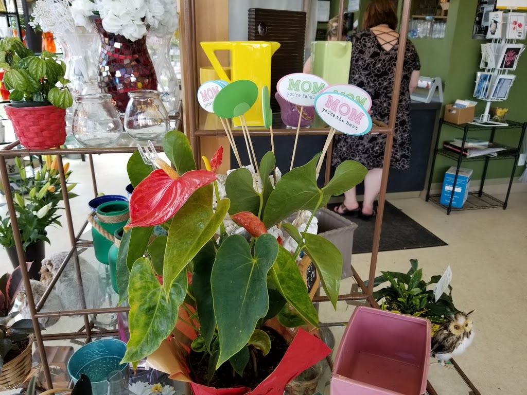 Lakewood Florist & Gifts Ltd | 310 St Annes Rd, Winnipeg, MB R2M 4Z5, Canada | Phone: (204) 255-1722
