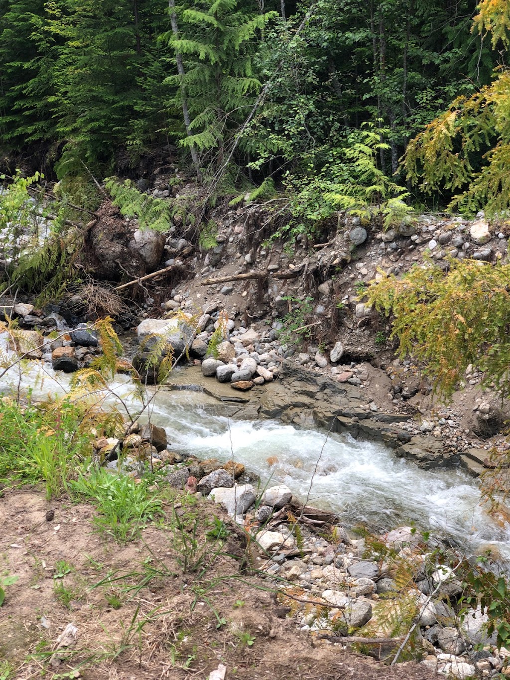Tukaluk Campground | 7955 BC-6, Fauquier, BC V0G 1K0, Canada | Phone: (250) 269-7355