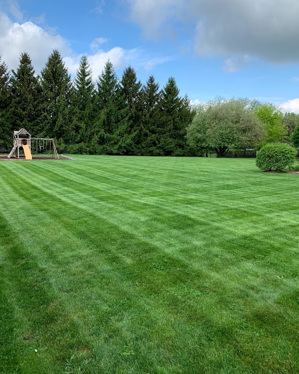 Brubacher Property Care | 1 Brookmead St, Elmira, ON N3B 3L8, Canada | Phone: (519) 505-2876