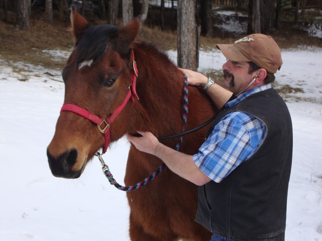 Accord Veterinary Services | 7410 Dallas Dr Unit 2, Kamloops, BC V2C 6X2, Canada | Phone: (250) 574-2065